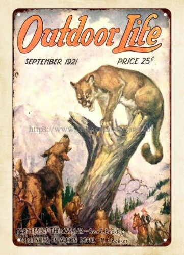 Hunting Dog Outdoor - 1921년 월 1921 잡지 표지 야외