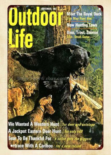 Hunting Dog Outdoor - 사무실 벽 장식 1967 야외 생활